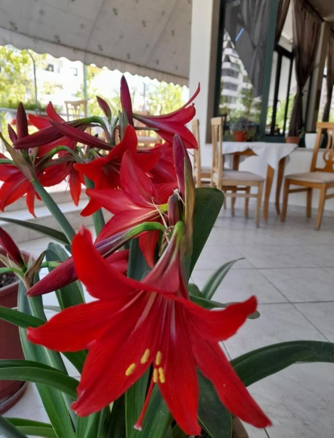 Hotel Rossi Vlore Ngoại thất bức ảnh